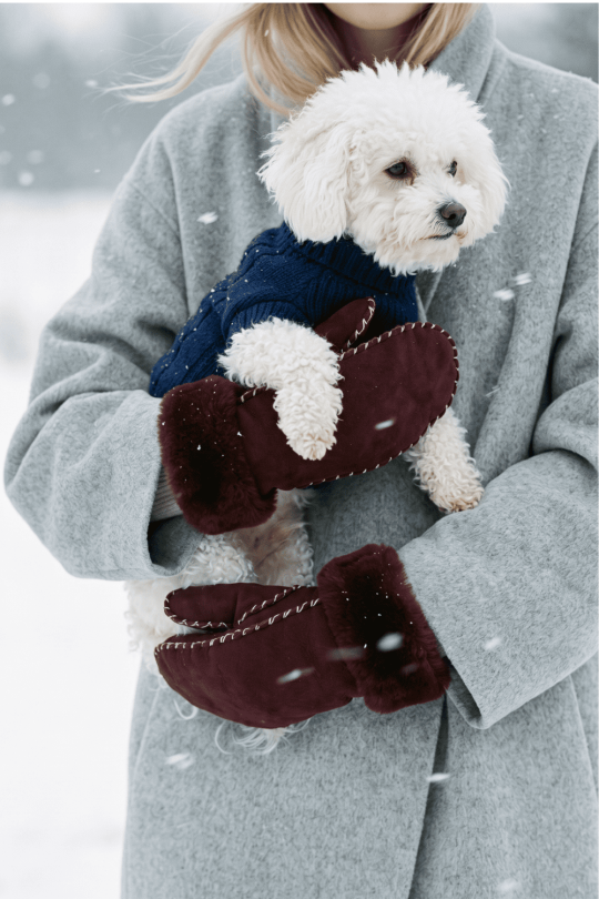 AGNELLE Alix Shearling Mitten