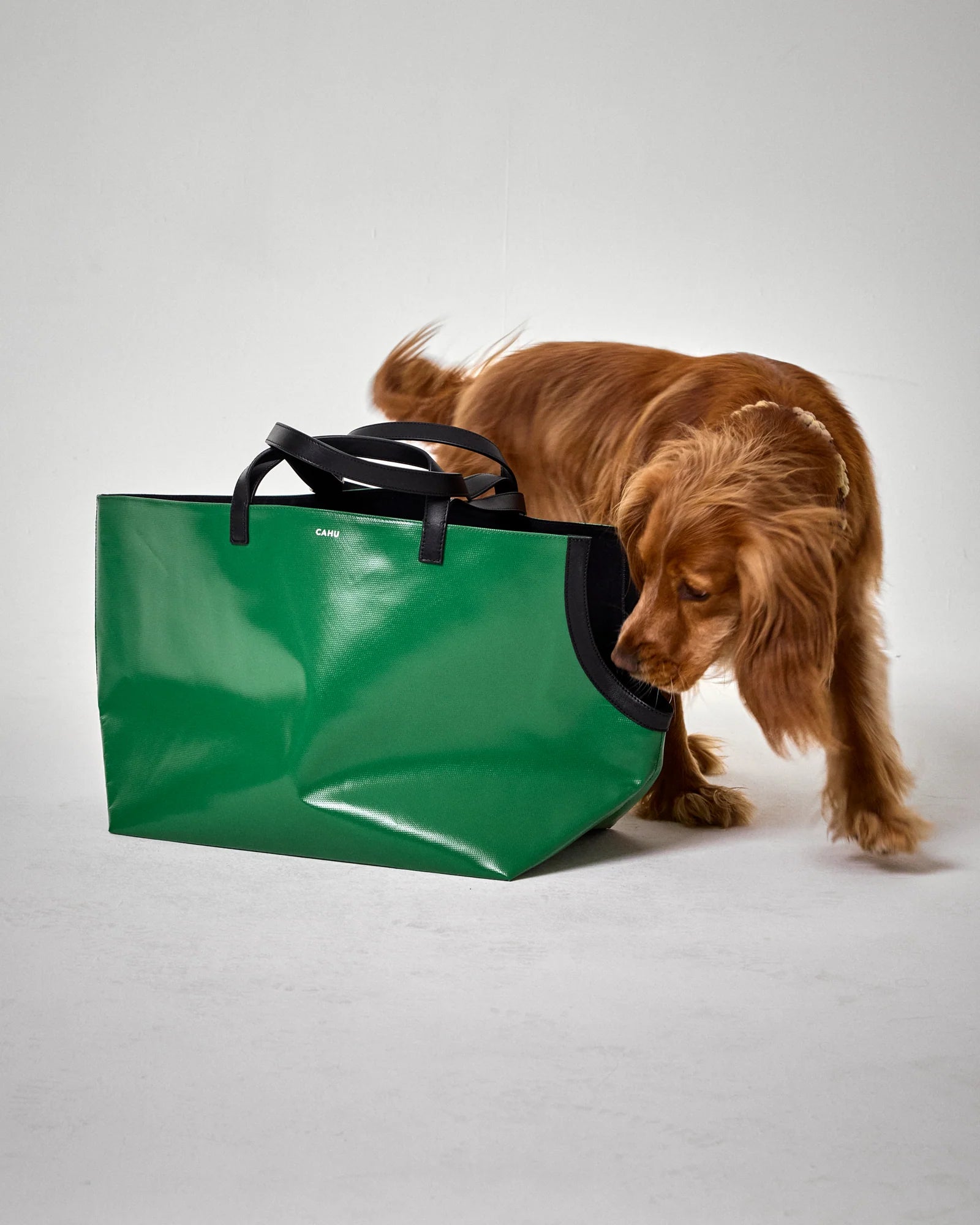 CAHU PARIS The Small Doggy Bag