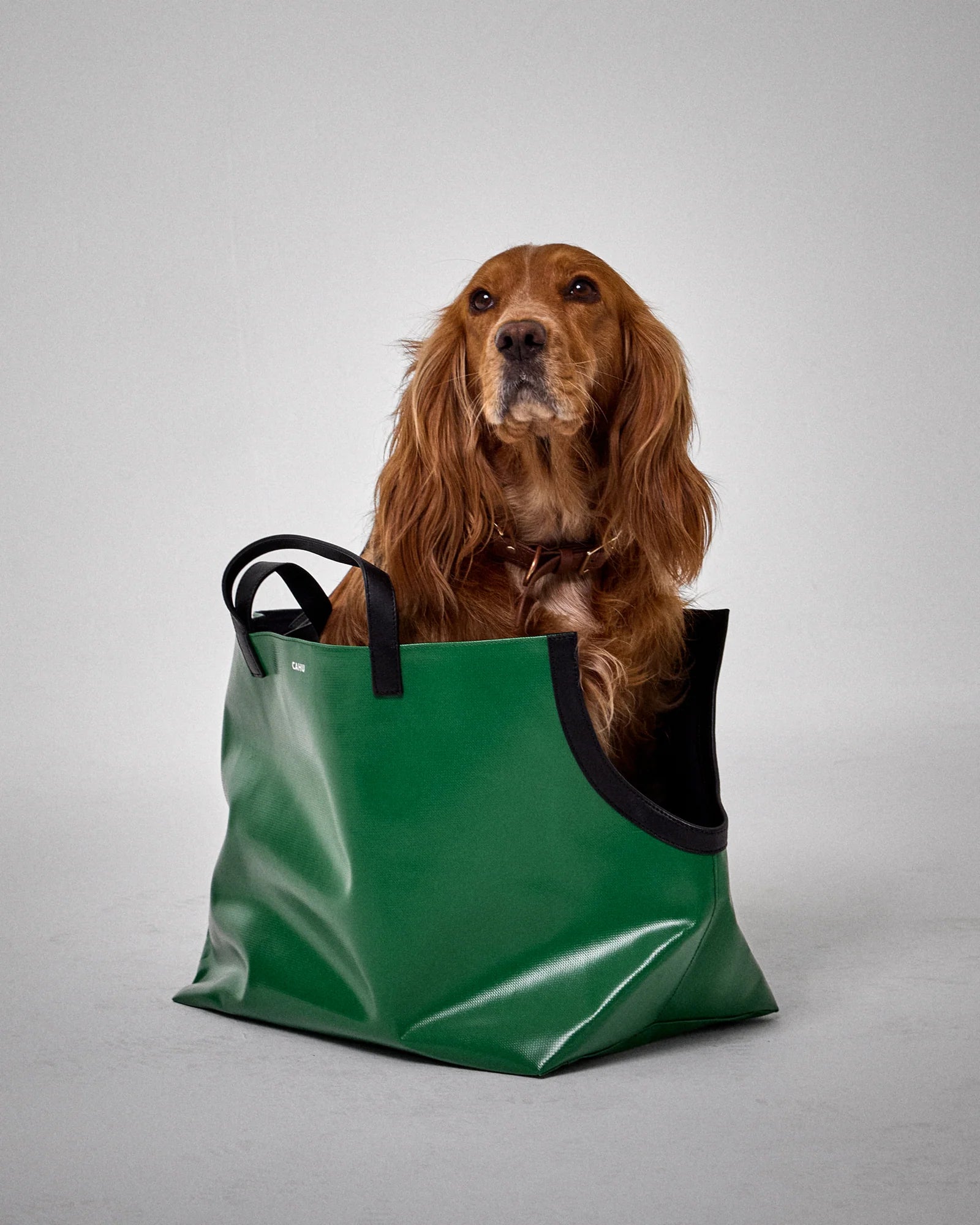 CAHU PARIS The Small Doggy Bag