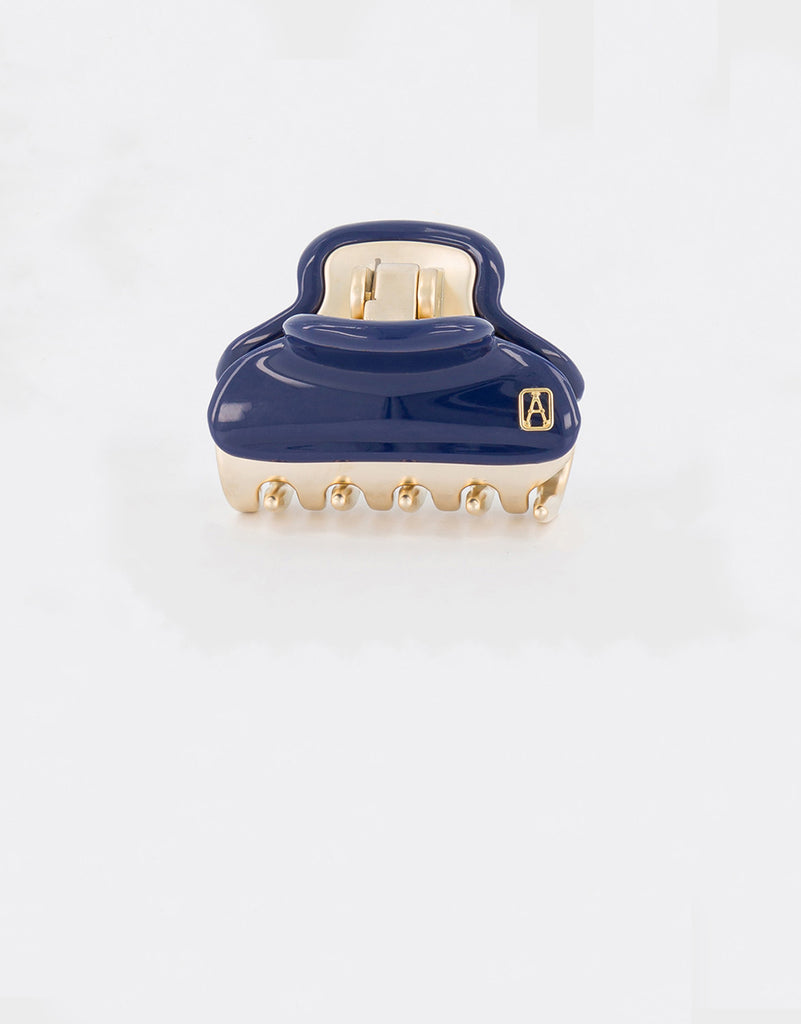 ALEXANDRE DE PARIS Vendome Small Hair Claw Clip