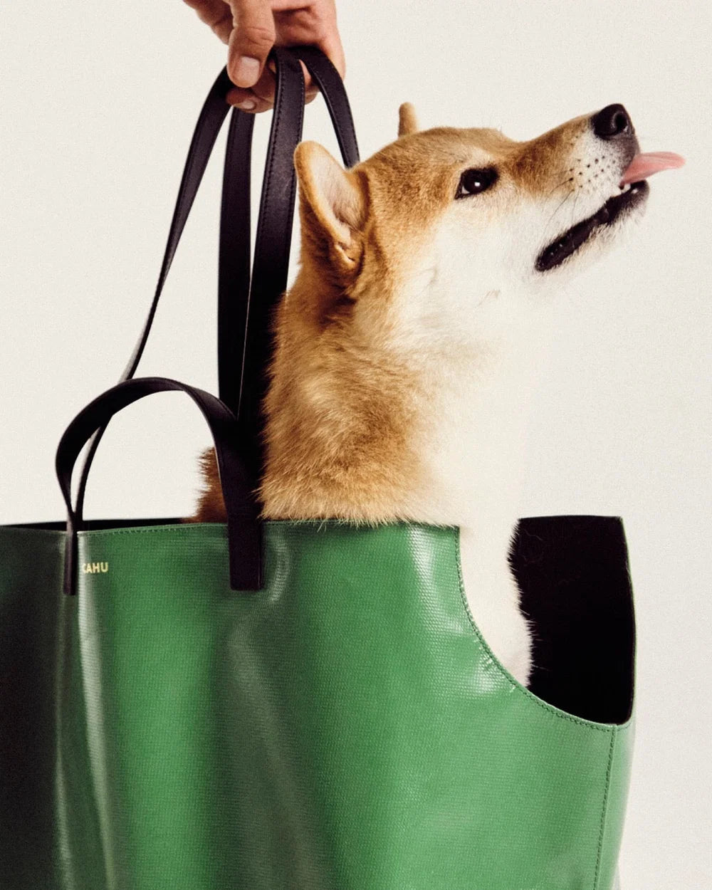CAHU PARIS The Small Doggy Bag