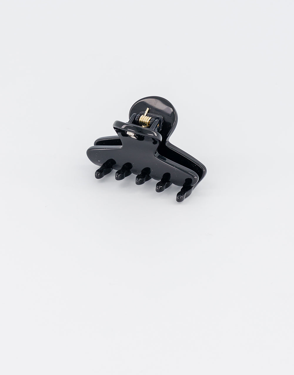 ALEXANDRE DE PARIS Raspail Small Acetate Hair Clip