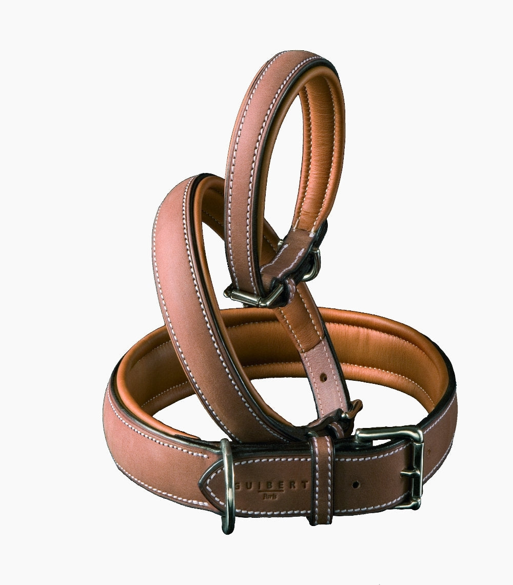 GUIBERT Dog collars (XXS to XXL) Gold color